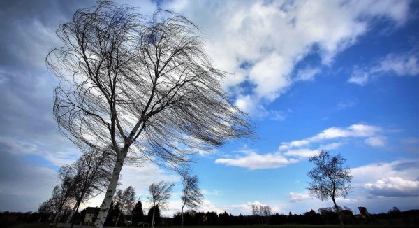 Усиление ветра