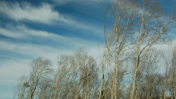 Резкий ветер