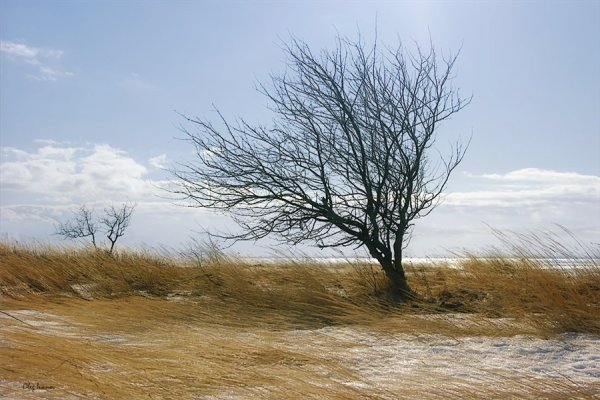 Усиление ветра