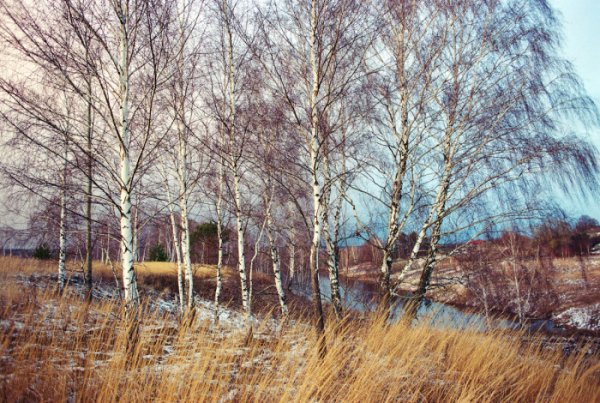 Штормовое предупреждение фильм 2008