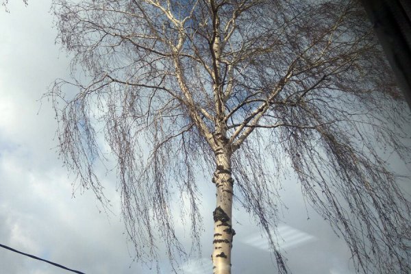 Ветер и зонт