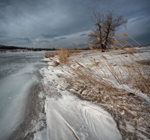 Теплый весенний ветерок