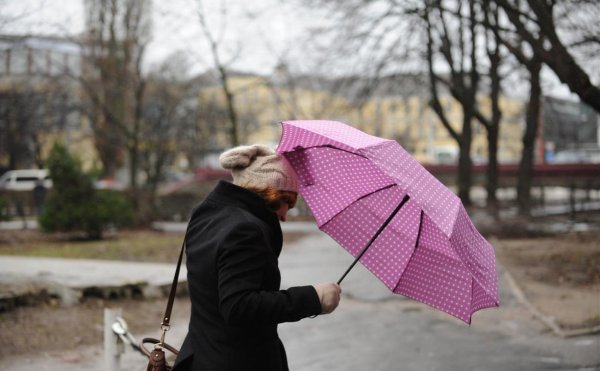 Ветер весной