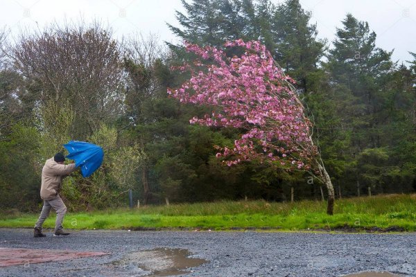 Легкий ветерок