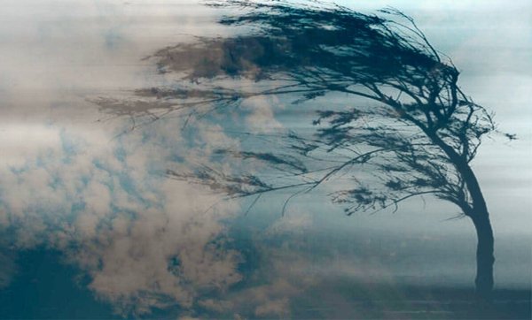 Лето на ветер