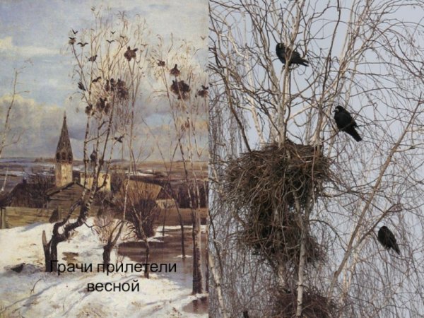 Весной птицы прилетают из теплых стран