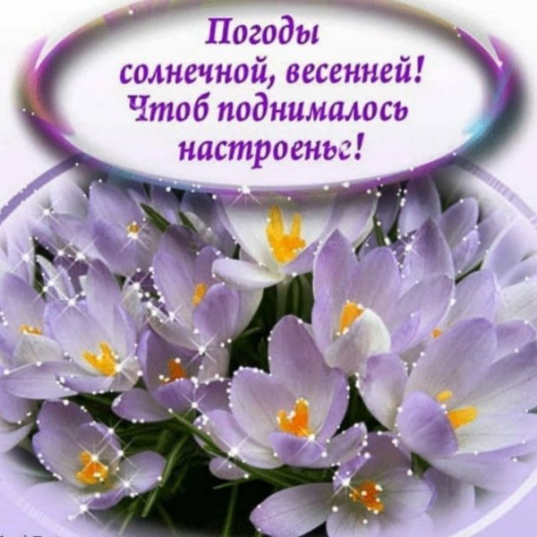 Добрых выходных и весеннего настроения