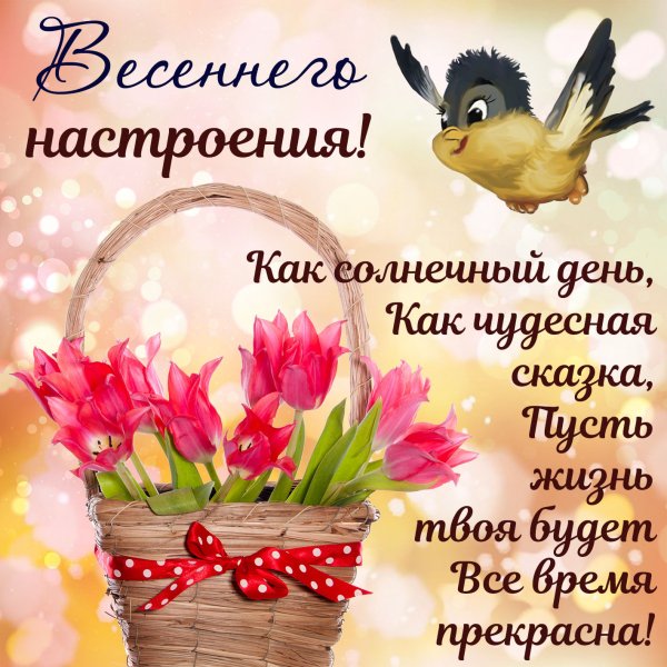 Пусть мечты сбываются