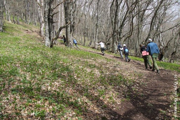 Поход весной