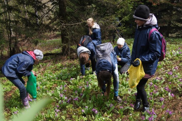 Весна туризм