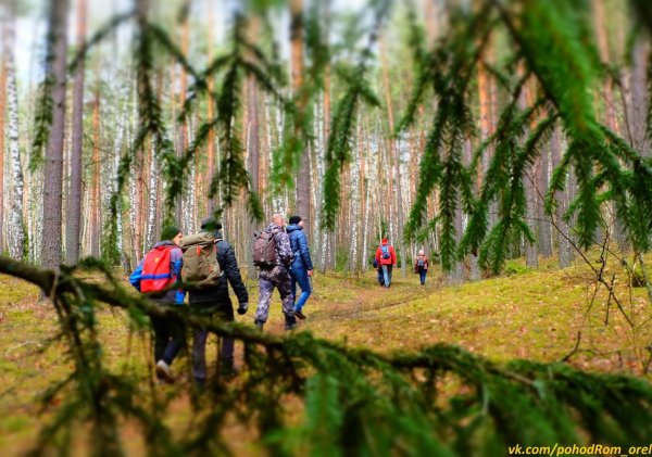 Экскурсия по весеннему лесу