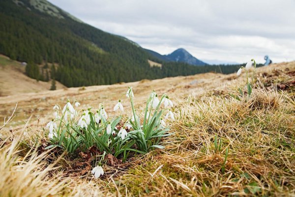 Туризм весной