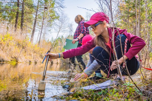 Туризм в лесу