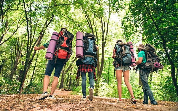 Весенний лес поход