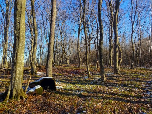 Туристское снаряжение