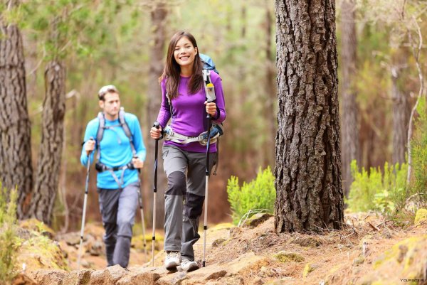 Прогулки по лесу