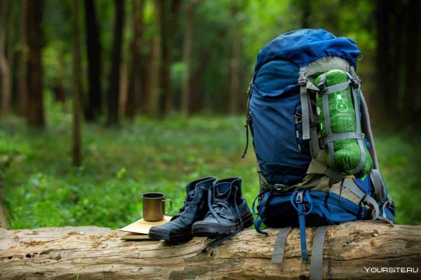 Собираемся в поход в лес
