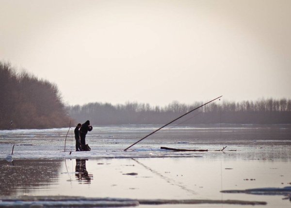 Утро рыбалка Весна