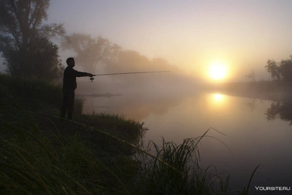 Река Ока рыбалка