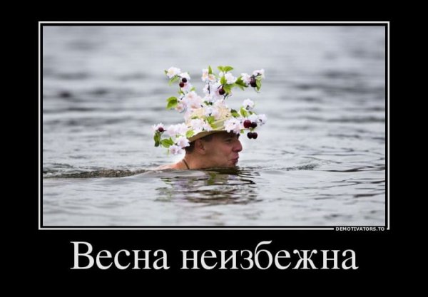 Холодная Весна приколы