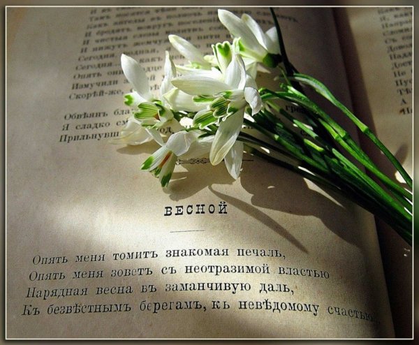 Открытки со стихами о весне