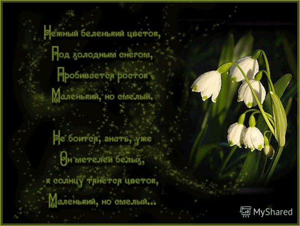 Зима с весною встретились стихи