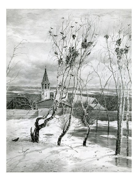 Береза раскраска