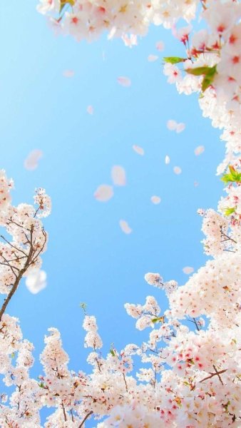 Весенний фон для фотошопа