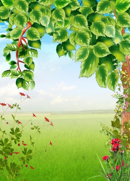 Фон с цветами