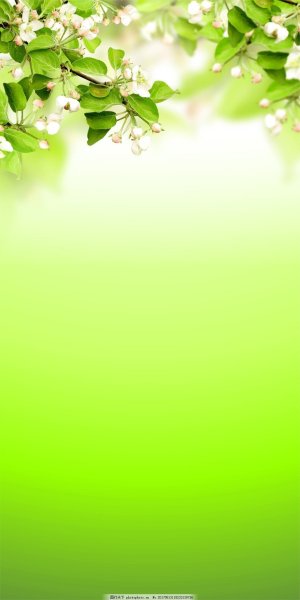 Фон для презентации природа