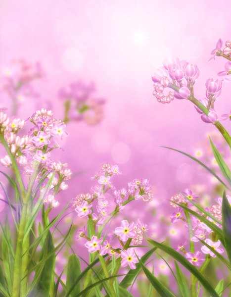 Сказочный фон