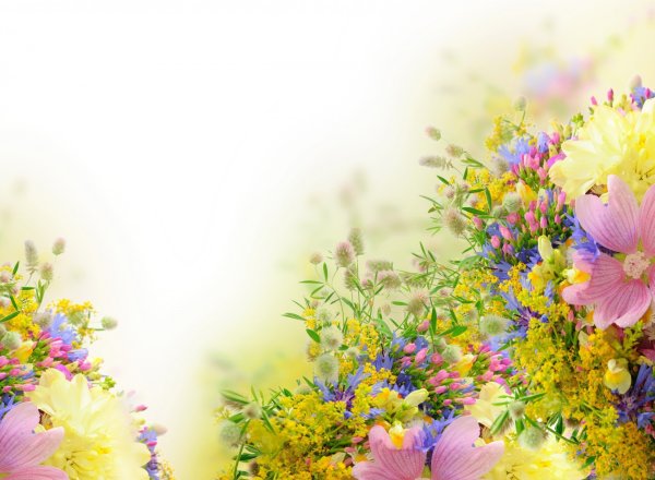 Весенняя рамка