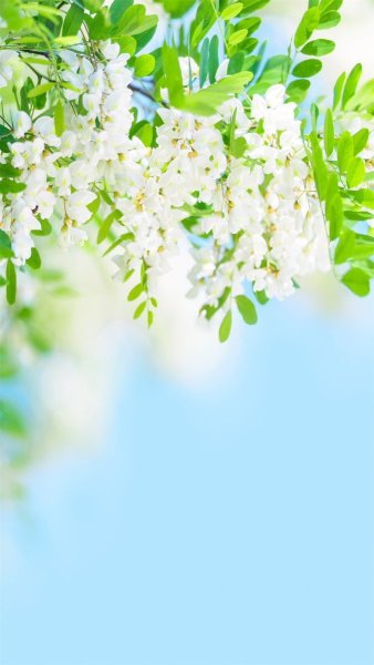 Фон весеннего пейзажа для детей