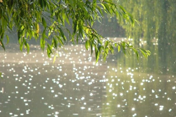 Весенняя капель