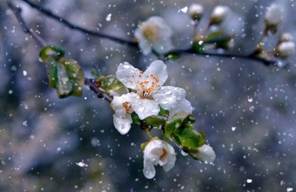 Природа дождь