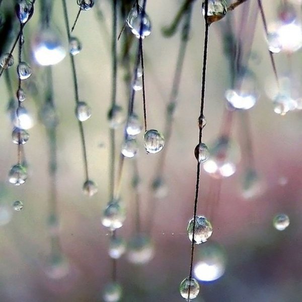 Ранняя Весна дождь