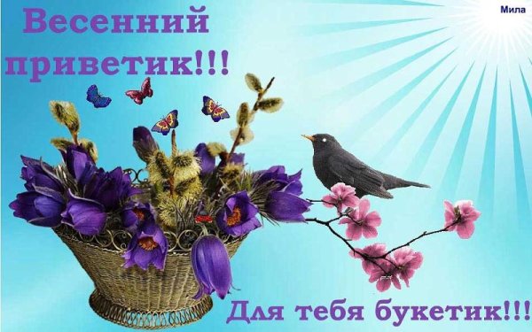 Весенний привет