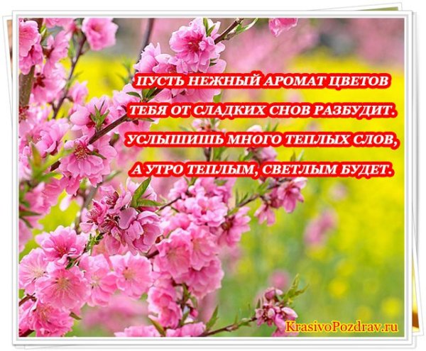 Прекрасного весеннего дня