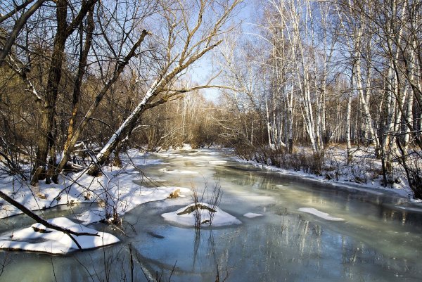 Весна пейзаж