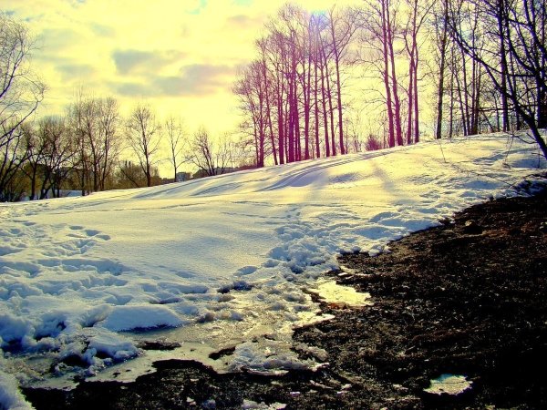 Поздняя зима