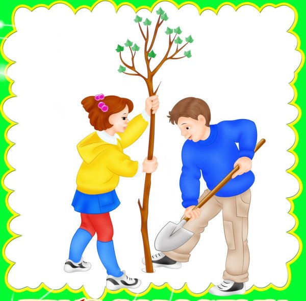 Посадка деревьев