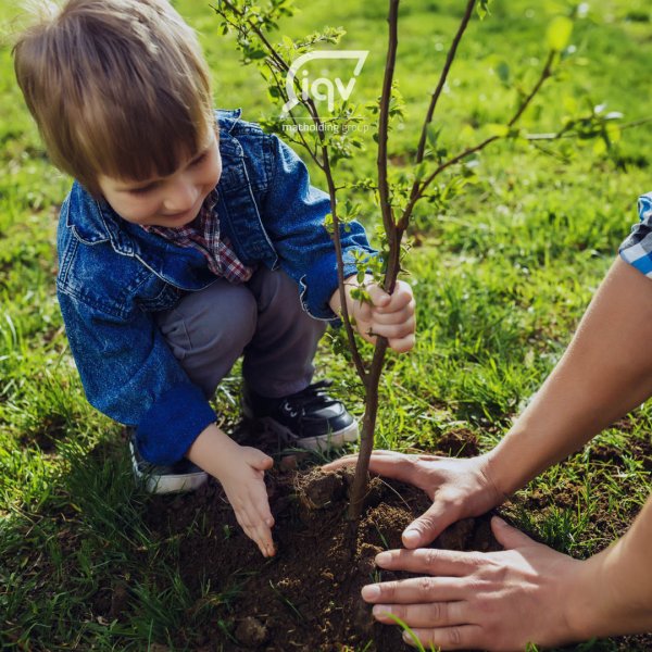 Люди сажают деревья