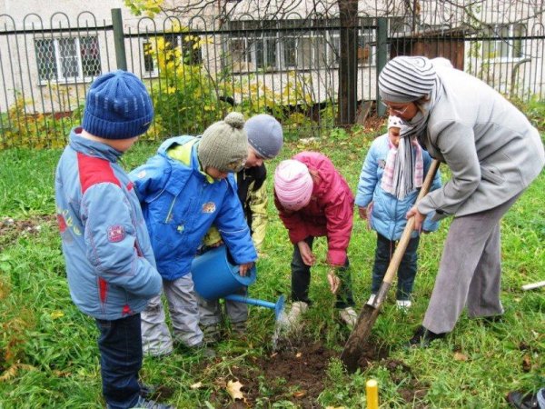Весенние работы посадка деревьев весной