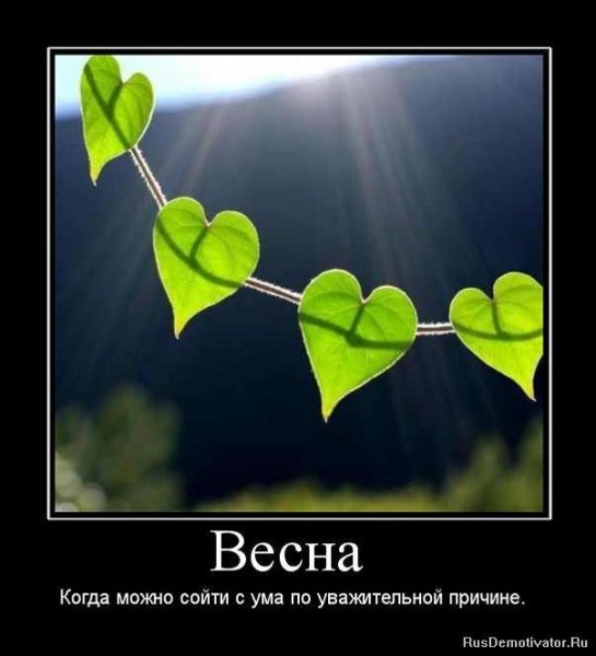 Не понимаю людей которые выпьют и идут спать а петь танцевать