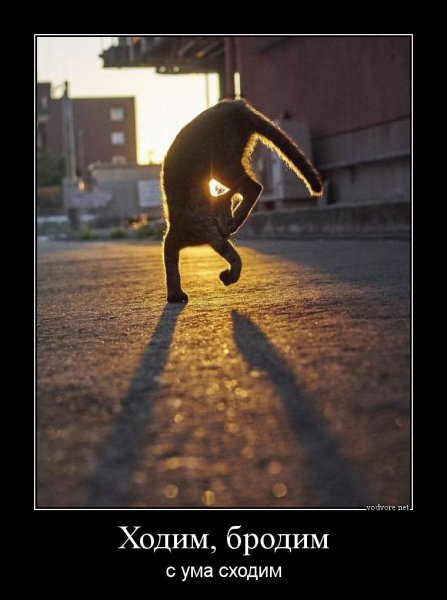 Злые статусы прикольные