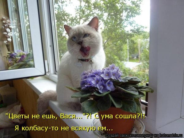 Прикоснуться к телу любимой души