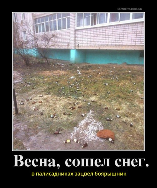 Не буду бриться пока