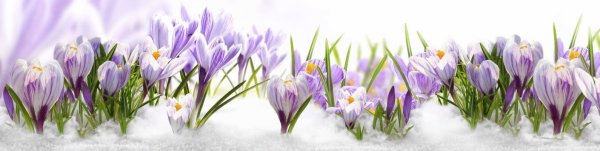 Весенний пейзаж с людьми