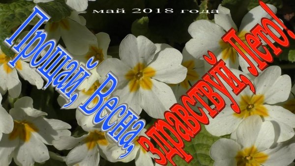 До свидания Весна Здравствуй лето