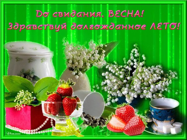 Прощай Весна Здравствуй лето
